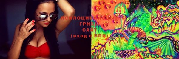 mdpv Богородицк