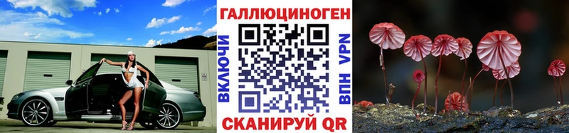 Псилоцибиновые грибы Cubensis  Дагестанские Огни 